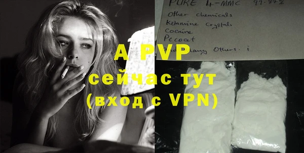 шишки Абаза