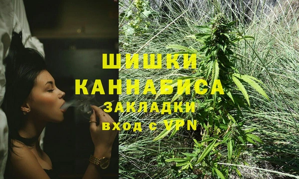 шишки Абаза