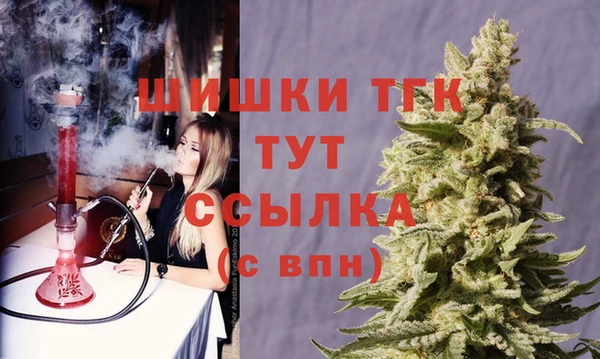 шишки Абаза