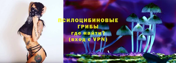 шишки Абаза