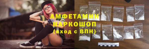 шишки Абаза
