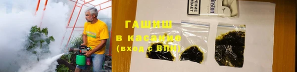 шишки Абаза