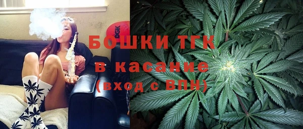 шишки Абаза