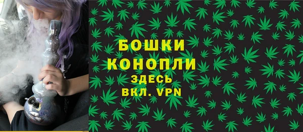 шишки Абаза