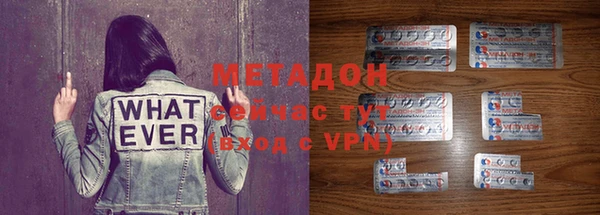 шишки Абаза