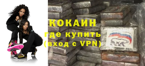 шишки Абаза