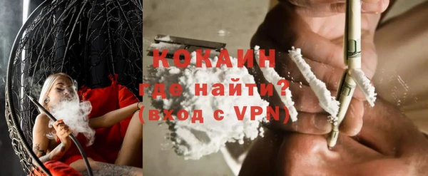 шишки Абаза