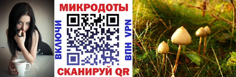 Псилоцибиновые грибы GOLDEN TEACHER  гидра онион  Электросталь 
