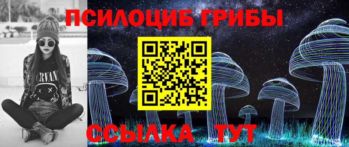 Электросталь  Галлюциногенные грибы Magic Shrooms  сколько стоит  Галлюциногенные грибы прущие грибы  Вход с VPN 
